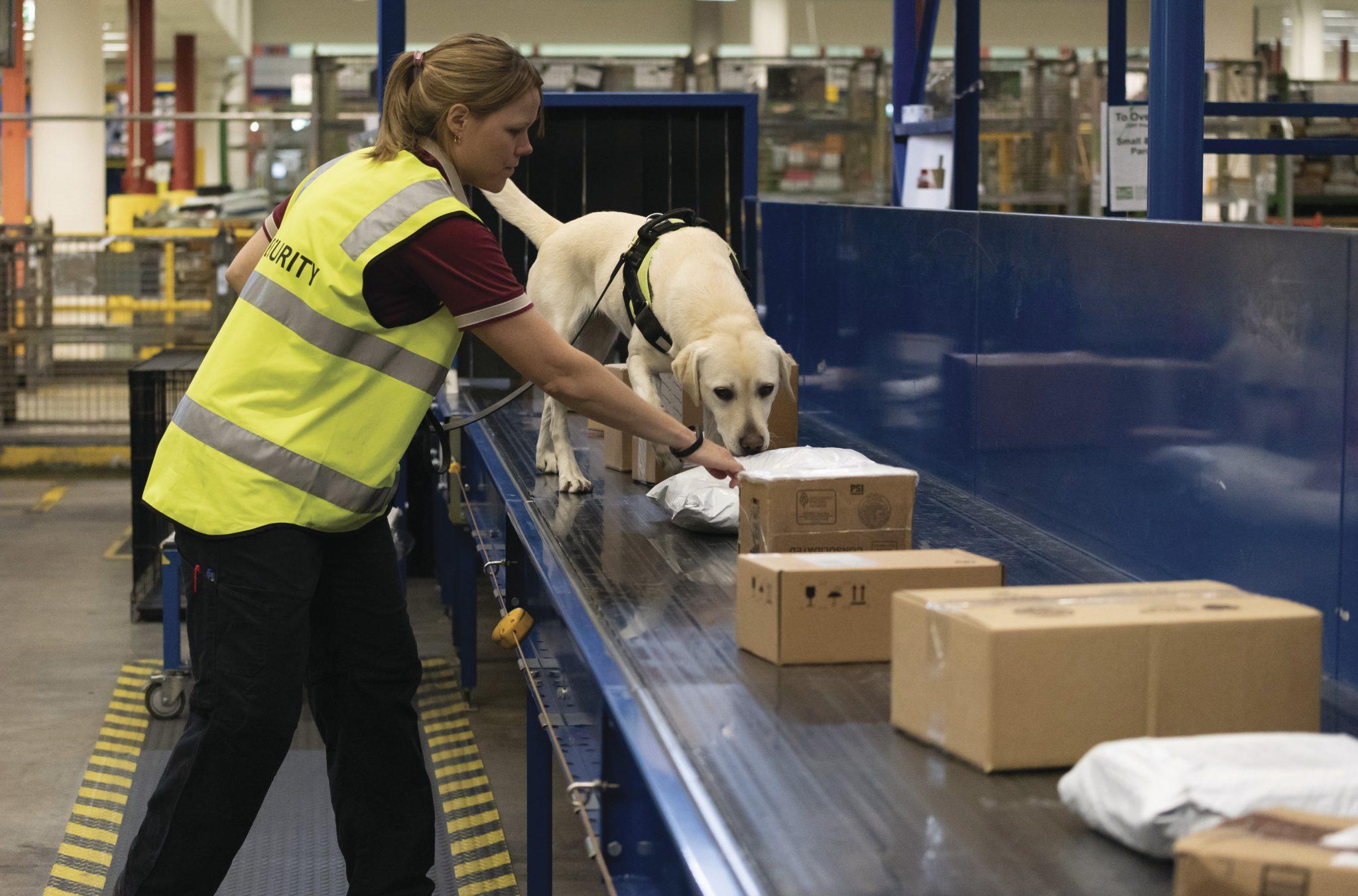 Arrival and border clearance